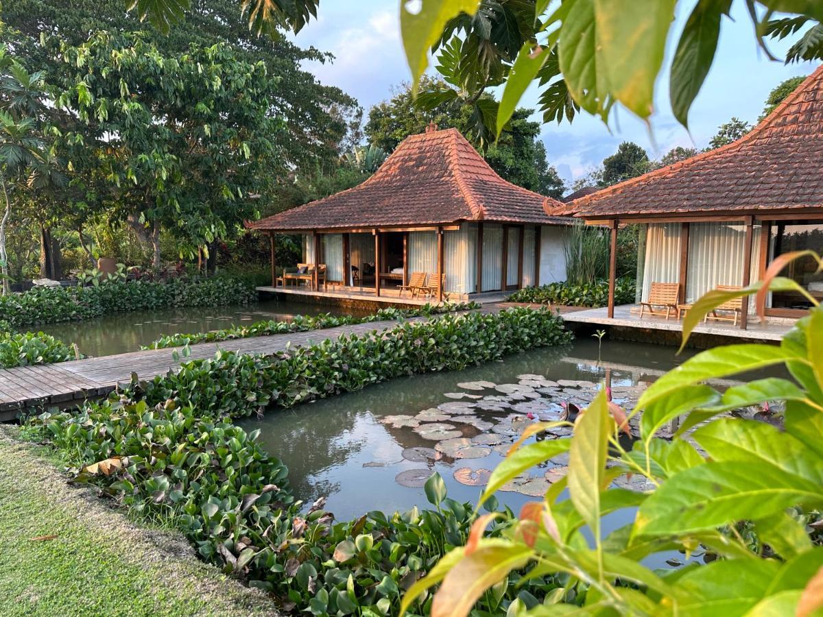 Griya Kcb Villa Ubud Extérieur photo