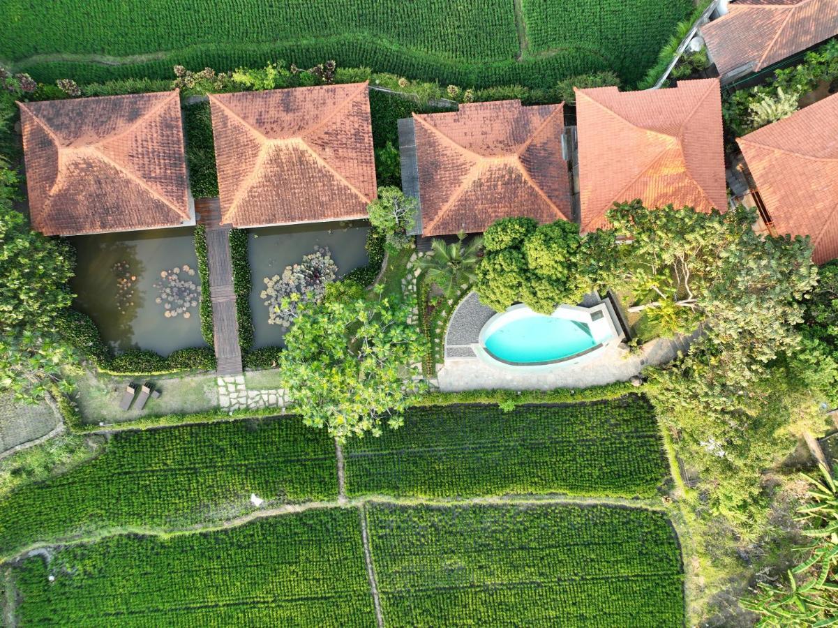 Griya Kcb Villa Ubud Extérieur photo