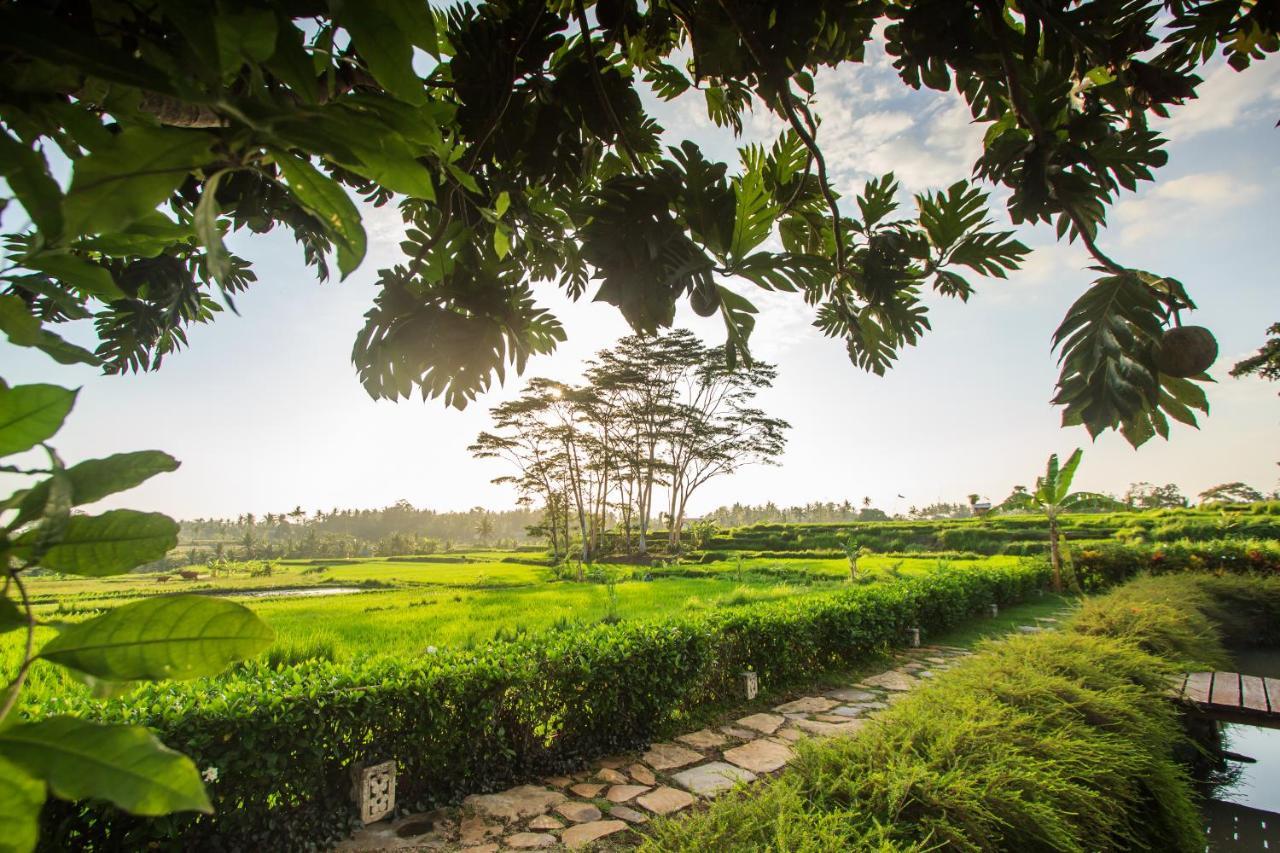 Griya Kcb Villa Ubud Extérieur photo