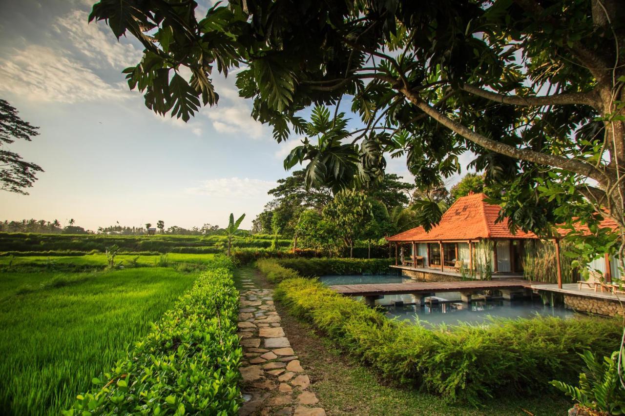 Griya Kcb Villa Ubud Extérieur photo