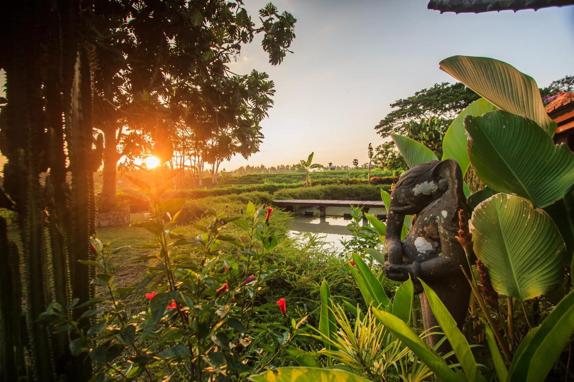 Griya Kcb Villa Ubud Extérieur photo