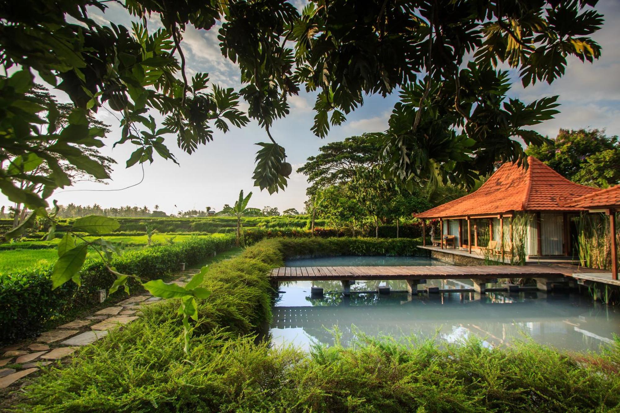 Griya Kcb Villa Ubud Extérieur photo